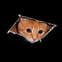 CEILINGCAT