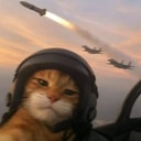 WARCAT