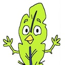 Fair Feather logo