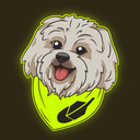 Robinhood Dog logo
