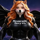 SXSI