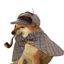 pipedog logo
