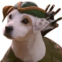 WISHBONE logo