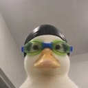 Nasduck