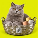 BSKCAT