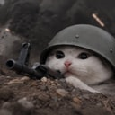 trenchcat