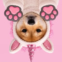 PAWSINU