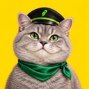 CMDMEOW