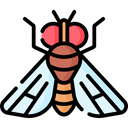 FlyFUND