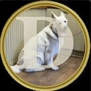 DOGE2