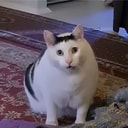 HUH