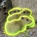 ILY