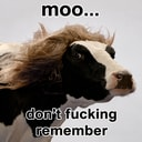MOO