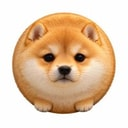koinu