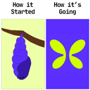 破茧成蝶