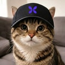 Flapcat