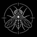 FlyBrain