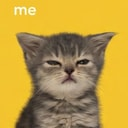 CATTO