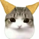 妙脆角猫
