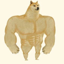 SWOGE