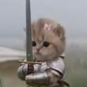 骑士小猫