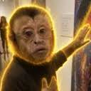 MONKI