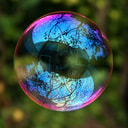 AIPOP