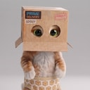 DCAT