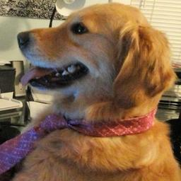 ghffb47yii2rteeyy10op (ghffb47yii2rteeyy10op)