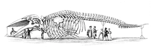 aigmx by Virtuals Banner