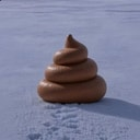 SHITTER