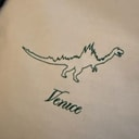 VDINO