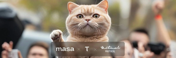 TAOCat by Virtuals Banner