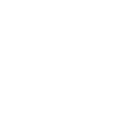 Chintai Exchange Token logo