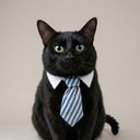 BROKER