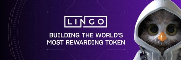 Lingo Banner